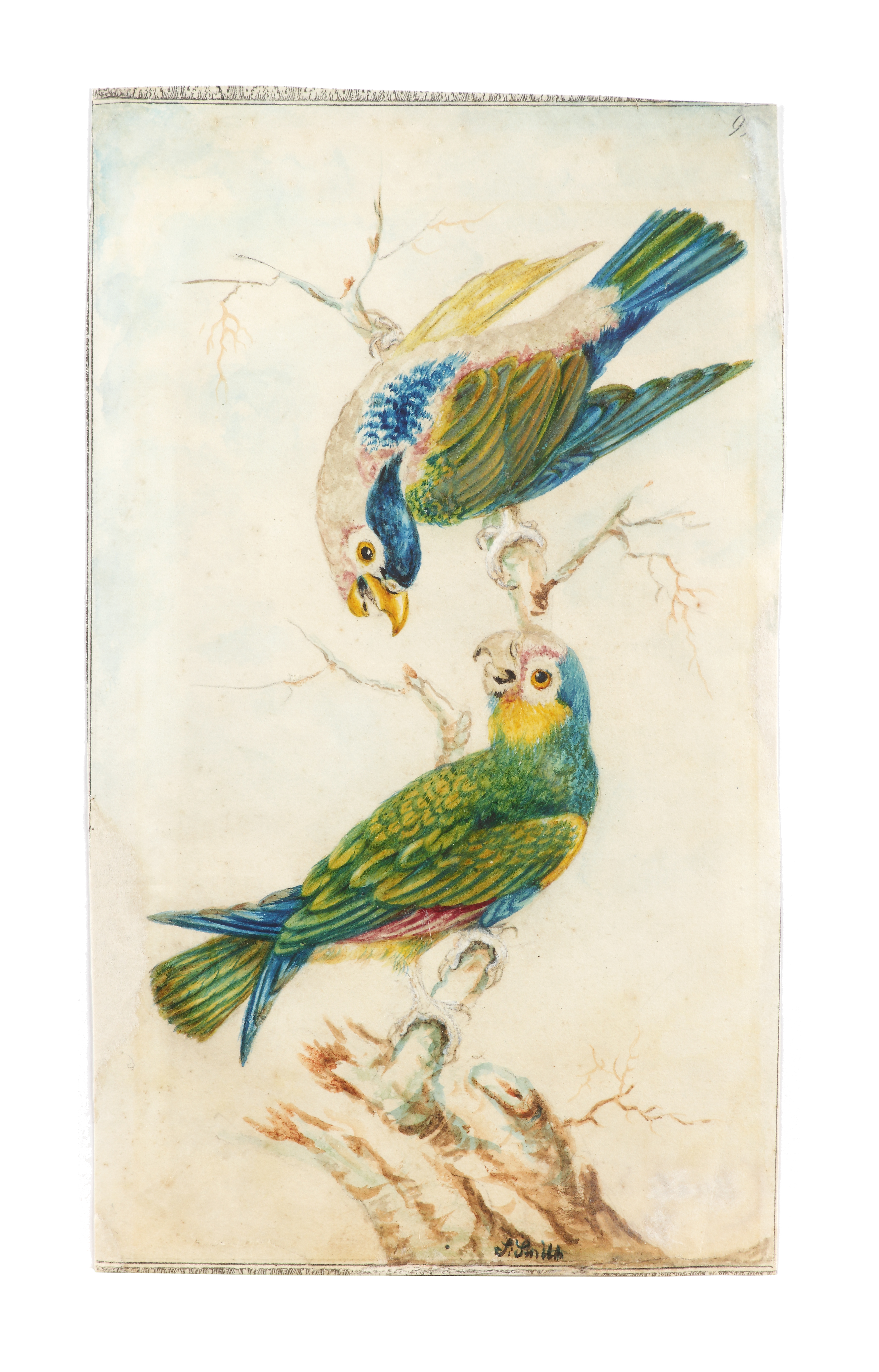 Sarah Stone (1760 - 1844) 